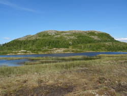 Alhusen