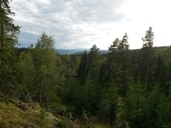 Borkhusåsen