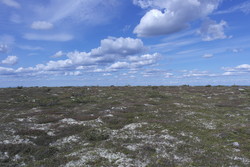 Östra Granfjället