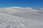 Tverrviglen
