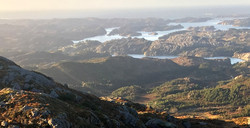 Ulvagrana