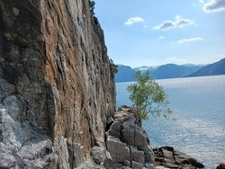 Avsnes klatrefelt