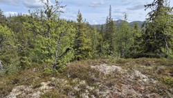 Sør for Ånitjønn