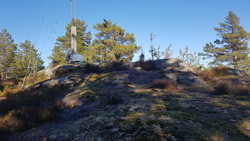 Halumåsen