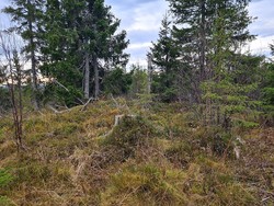 Sørvest for Hundbergslia