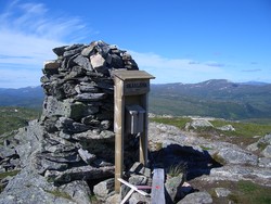 Skåkleiva