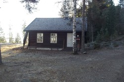 Koboltkoia