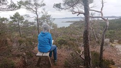 Storaneset