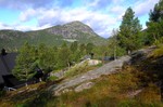 Hovdenuten
