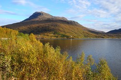 Stortind
