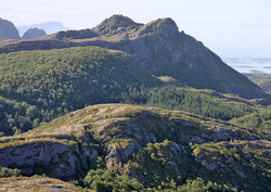 Hornsveten
