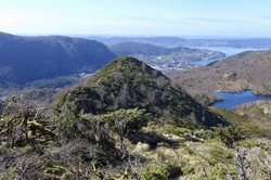 Stangelifjellet