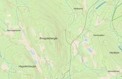 Bringåsberget