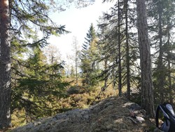 Brennåsen