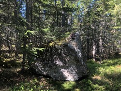 Stubbdalsflaka nord