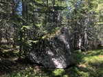Stubbdalsflaka nord