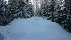 Rønningsåsen