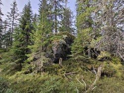 Tvetjernshøgda