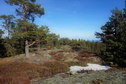 Kollevollåsene