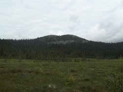 Vesle Byringen