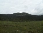 Vesle Byringen