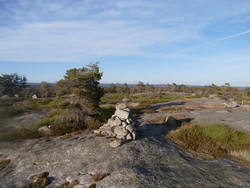 Bronehei