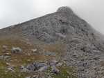 Zla Kolata