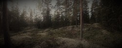 Skårerberget