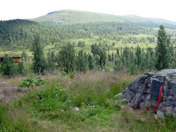 Tapptjerndalsbua