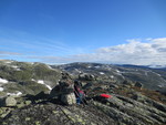 Skurvenuten