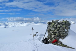 Skarvedalsbreen