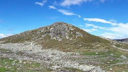 Store Stavsronut