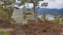 Svartdalsheia