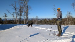 Øverbyhaugen
