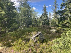 Bleiksjøflaka