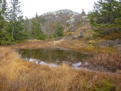 Dalafjellet