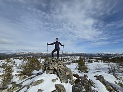 Høgenuten