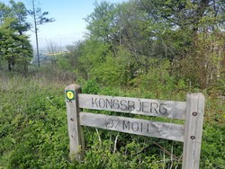Kongsbjerg