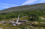 Sverjesjøhøa