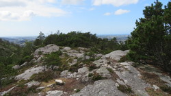 Timpeltu