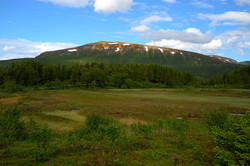 Rødmålheia