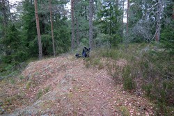 Lindebergåsen