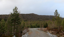 Pikkhaug
