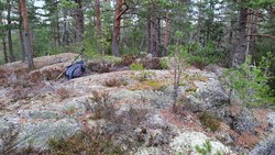 Bærvannskollen