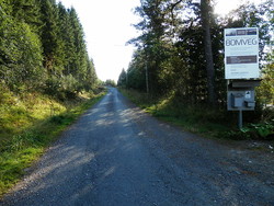 Skeisnebba bomveg