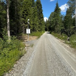 Dalavassvegen automatisk bomvei