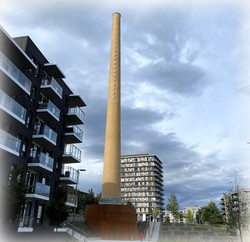 Tiedemannspipa