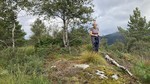 Storsåta