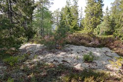 Haldoråsen