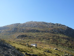 Bukkaknotten